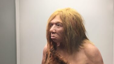 Las manos y no sus limitaciones intelectuales limitaron al neandertal
