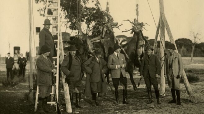Alfonso XIII cazando en Doñana