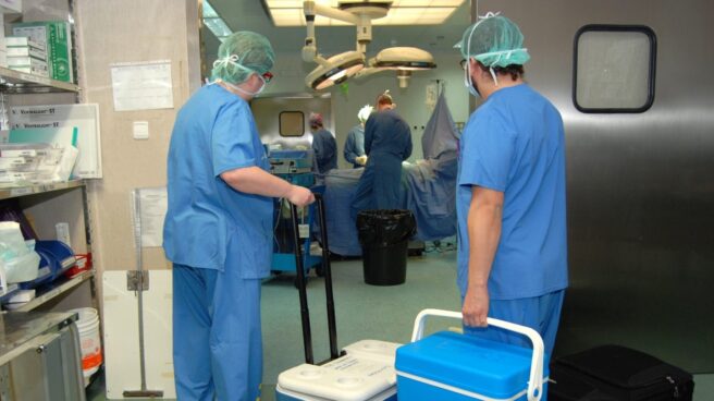donacion de organos Los trasplantes que más han aumentado son los pulmonares (+25%), hepáticos (+17%) y los renales (+9,3%)
