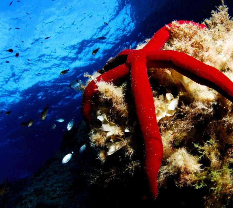 La España sumergida