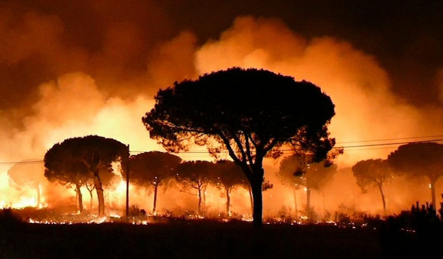 Incendio en Moguer (Huelva).