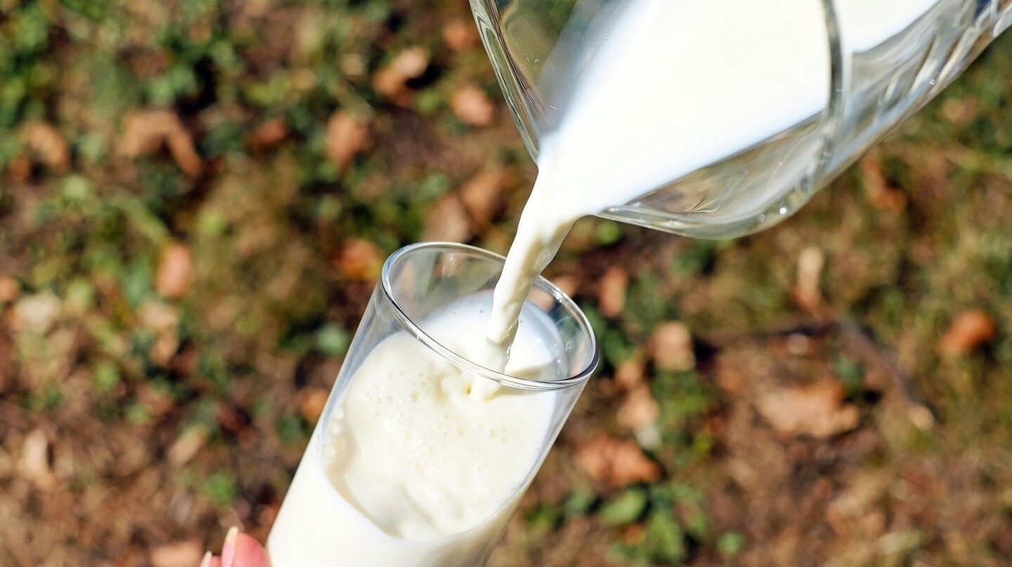 El consumo de leche entera no se asocia con un mayor índice de enfermedades cardiovasculares, como otros alimentos grasos.