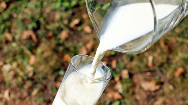 El consumo de leche entera no se asocia con un mayor índice de enfermedades cardiovasculares, como otros alimentos grasos.