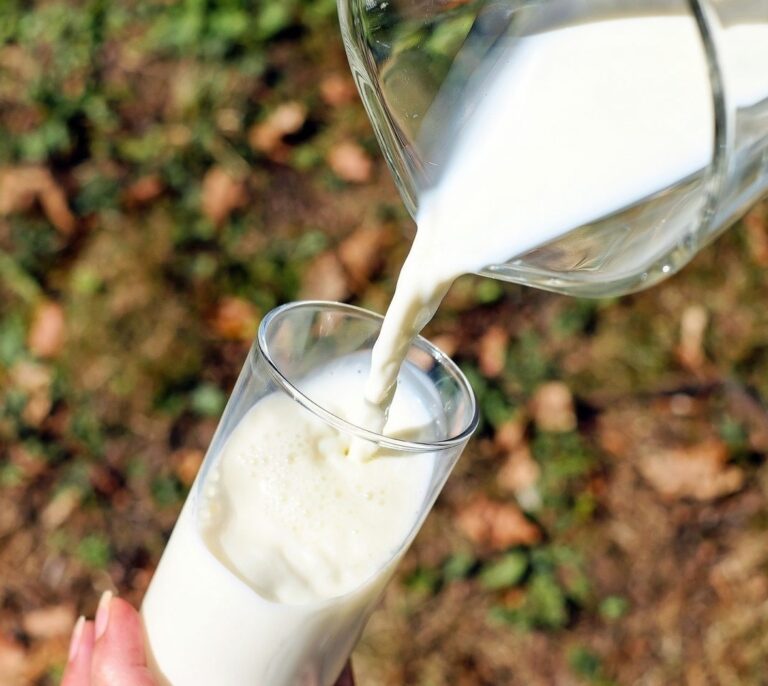 Por qué tienes que volver a beber leche entera
