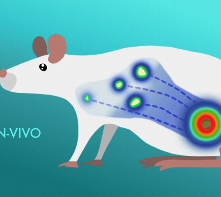 Descubren cómo detectar el cáncer de piel antes de que se extienda
