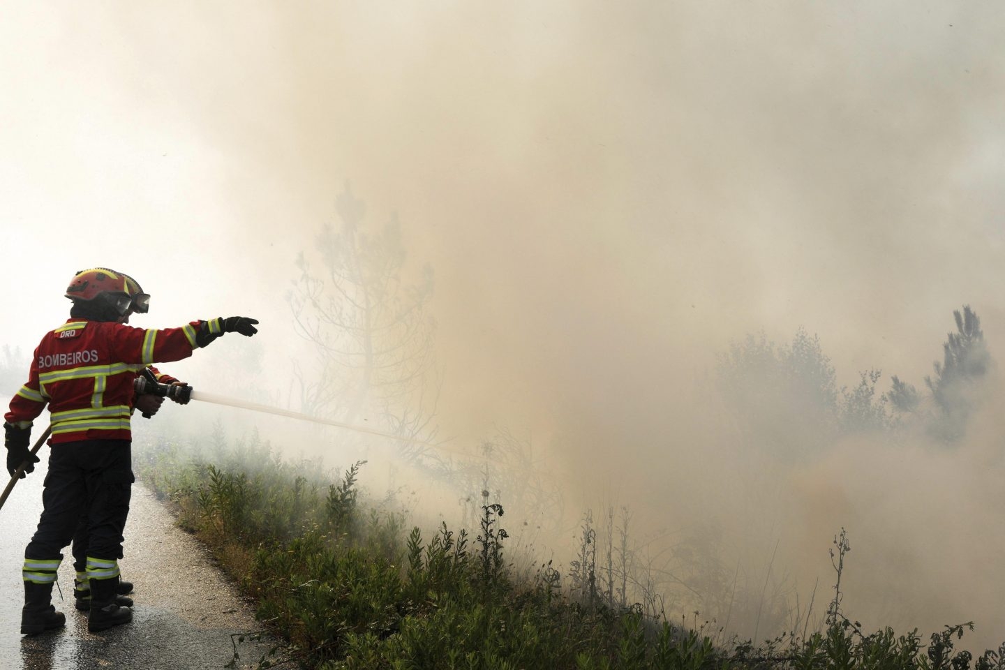 Bomberos luchan contra el fuego en Portugal.