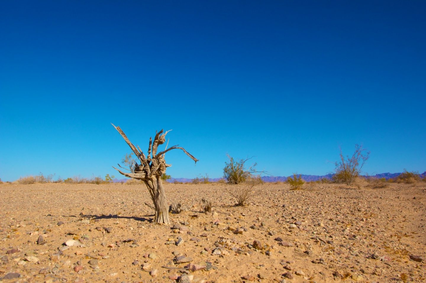 Junio de 2019 ha sido el tercer mes más seco del siglo XXI