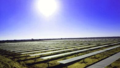 El sector fotovoltaico pide precios con 'suelo y techo' tras sumar 900 horas a precio cero hasta agosto