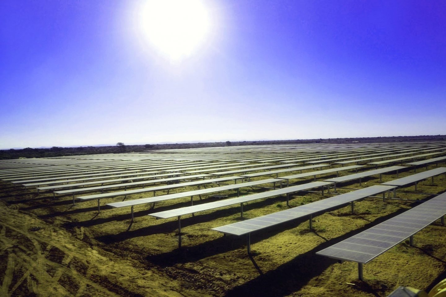 Planta fotovoltaica construida por Acciona.