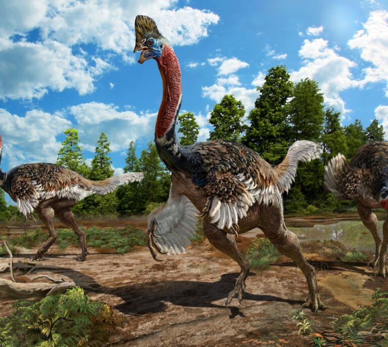 Descubierta en China una nueva especie de dinosaurio