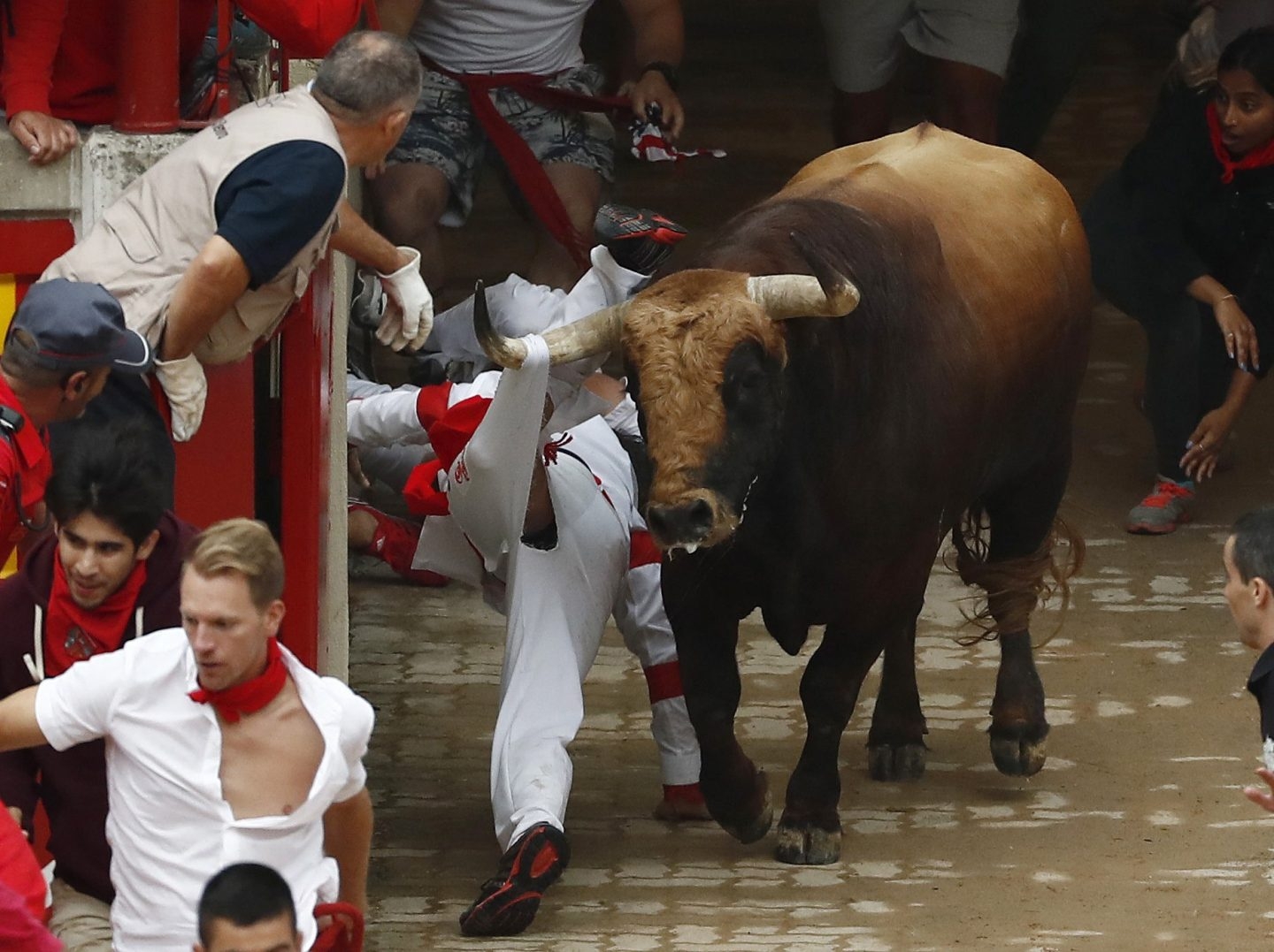 El toro Huracán, de El Puerto, en el tercer encierro de San Fermín.