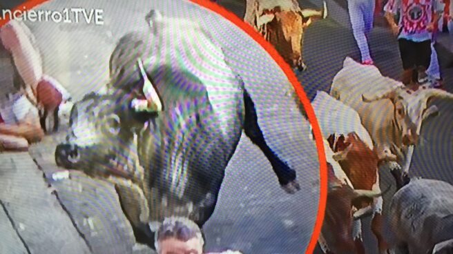 Encierro de San Fermín: el toro 80 de Cebada Gago cornea a un corredor. Encierro de San Fermín: el toro 80 de Cebada Gago cornea a un corredor.