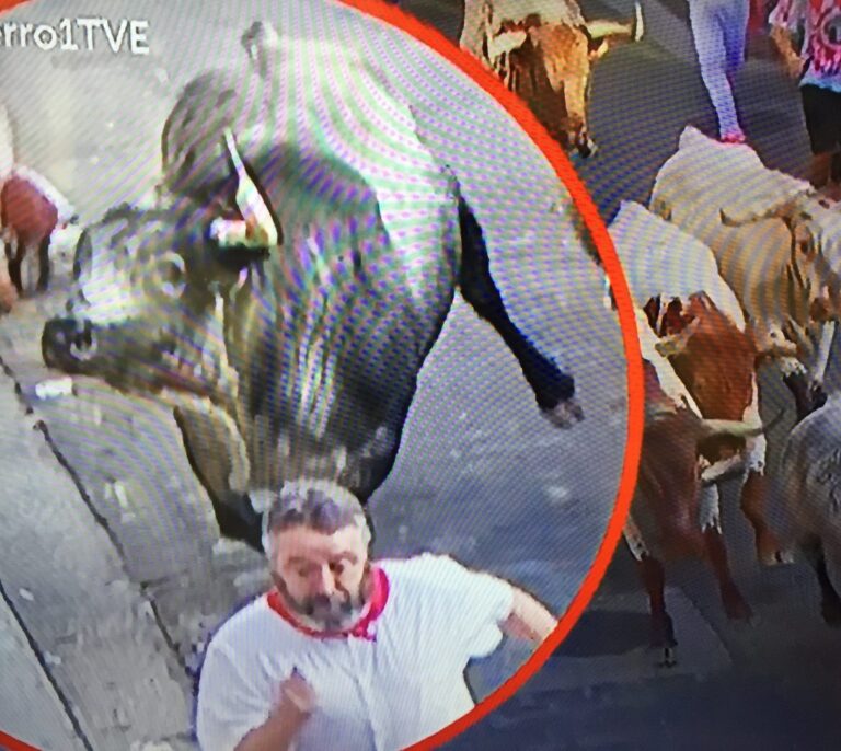 El toro 80 de Cebada Gago reparte estopa