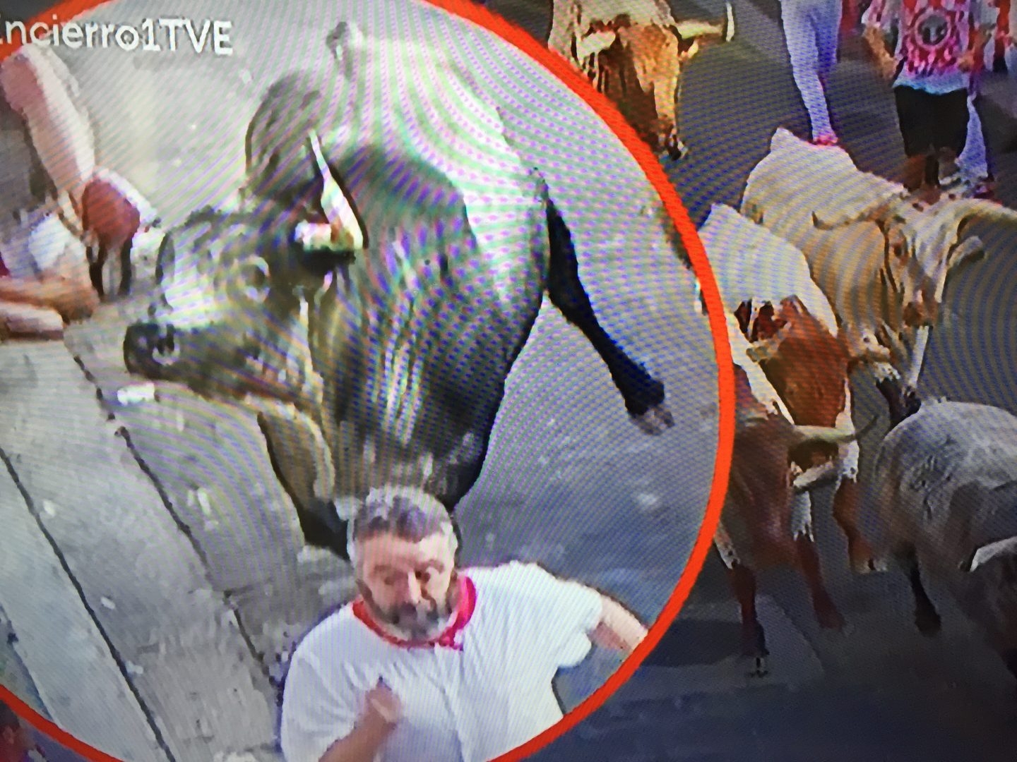 Encierro de San Fermín: el toro 80 de Cebada Gago cornea a un corredor.