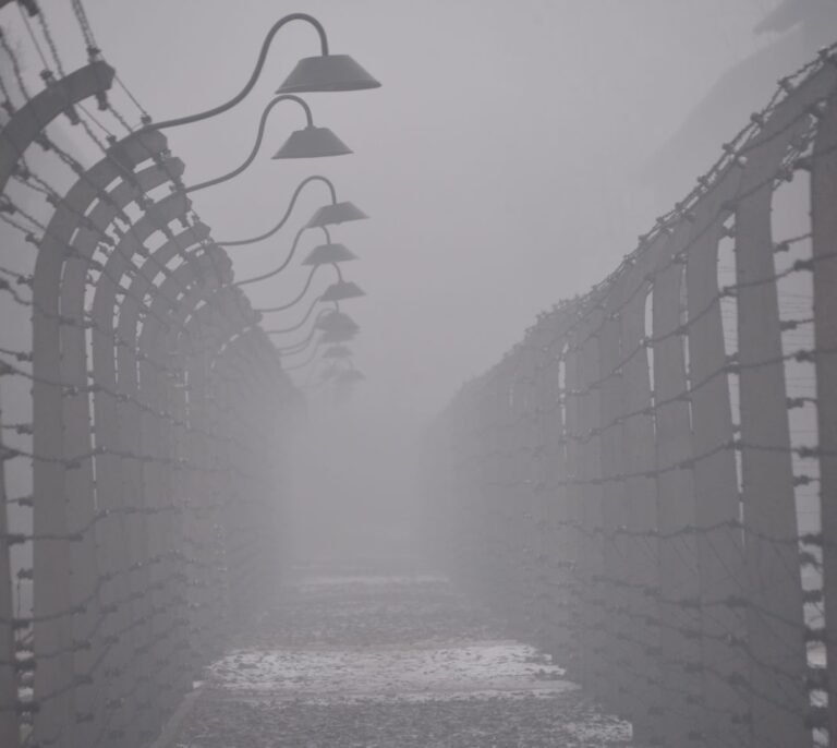 Auschwitz y Belfast, el espejo del que aprenderán 'en persona' los alumnos vascos