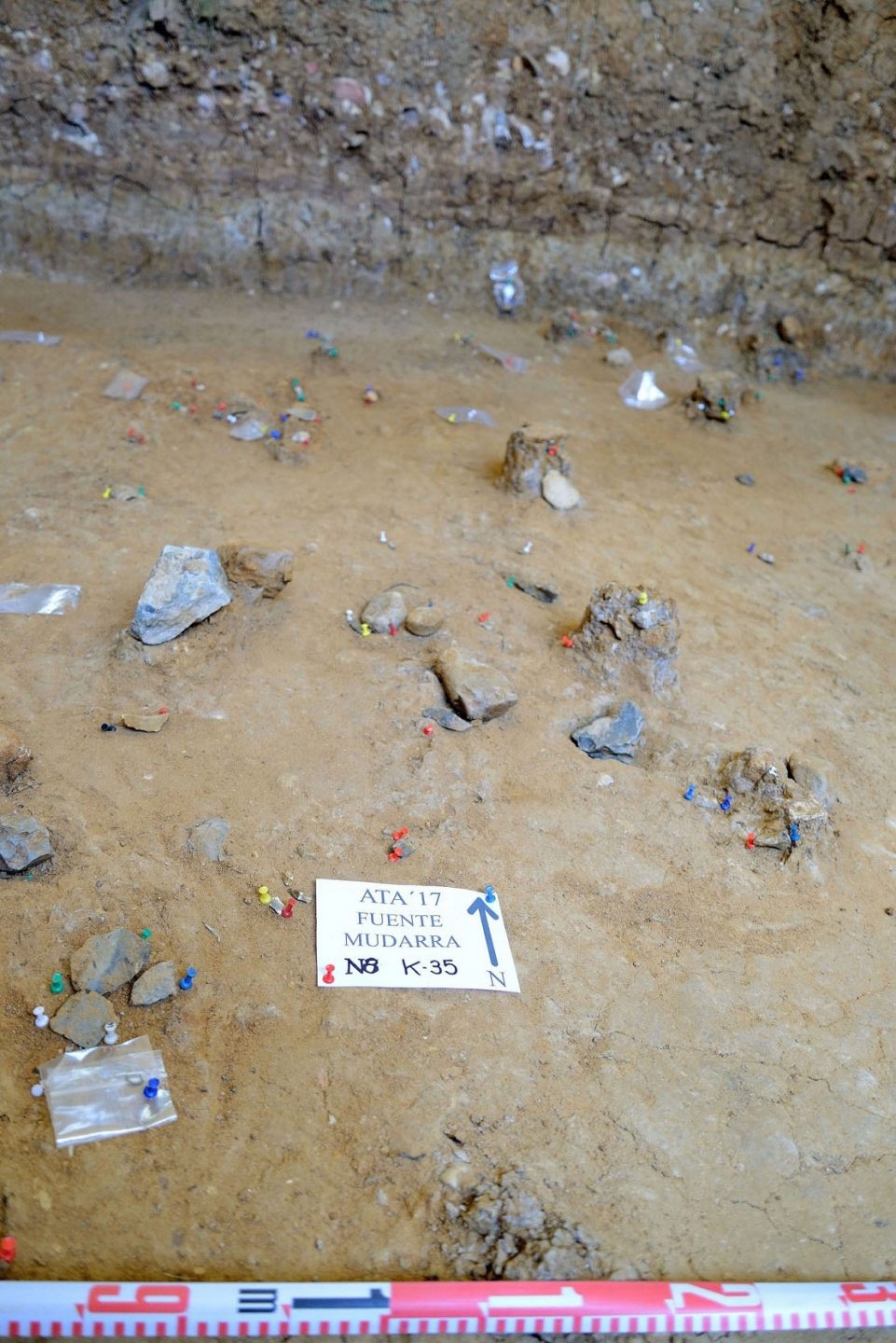 Los restos de Neandentales encontrados en Atapuerca.