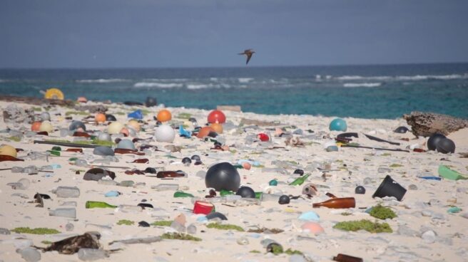 La humanidad ha generado 8.300 millones de toneladas de plástico en 75 años