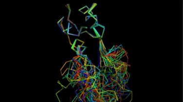 El CSIC abre una vía hacia una nueva terapia contra el alzheimer