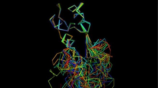 Un grupo de investigadores liderado por el CSIC ha realizado esta investigación.