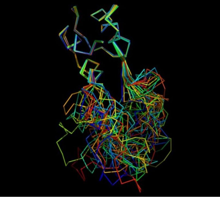 El CSIC abre una vía hacia una nueva terapia contra el alzheimer