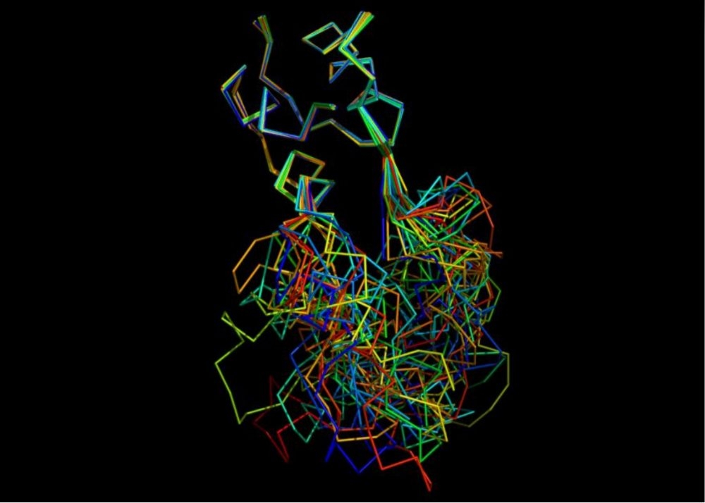 Un grupo de investigadores liderado por el CSIC ha realizado esta investigación.