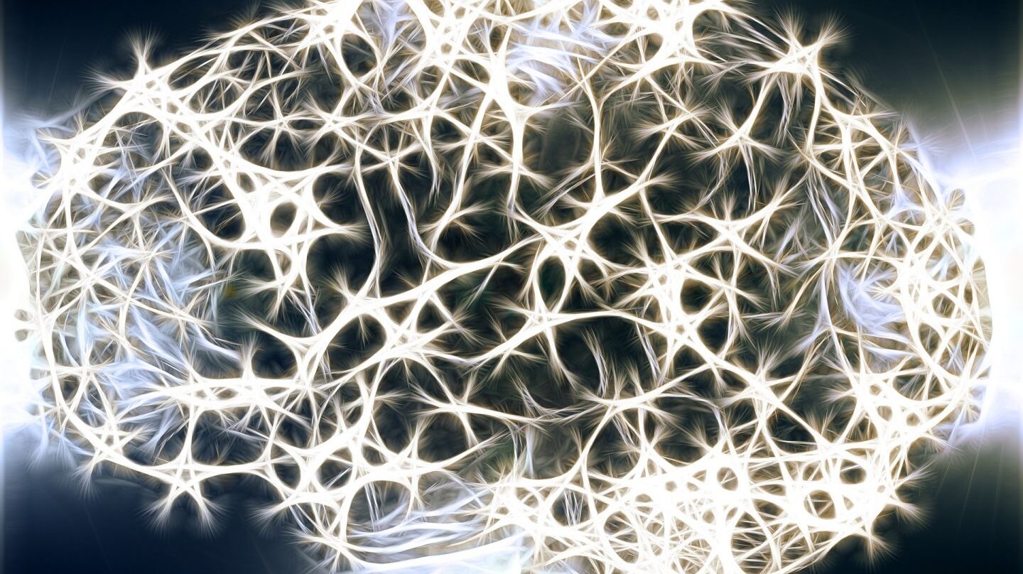 Los secretos de la Neurosabiduría