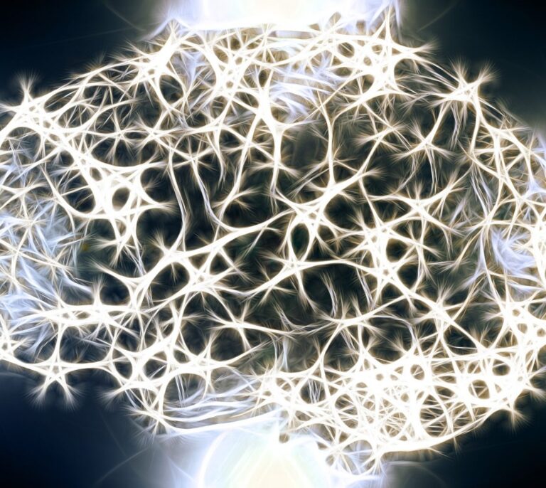 Un equipo español demuestra que producimos neuronas hasta los 90 años