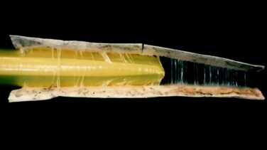 Robots que crecen como plantas para llegar a lo inalcanzable