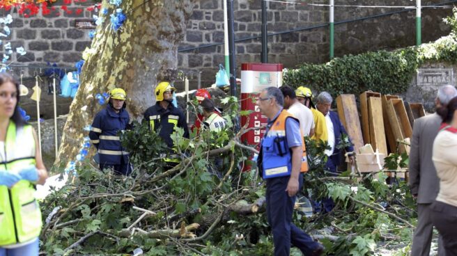 Momento del sinisestro en Madeira (Portugal), después de que cayera un árbol durante una romería religiosa.