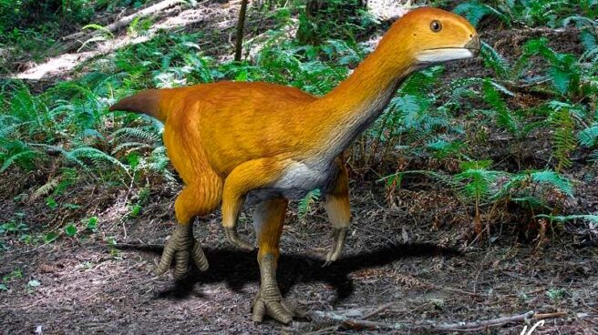 Un estudio identifica al 'Chilesaurus' como el 'eslabón perdido' de los  dinosaurios