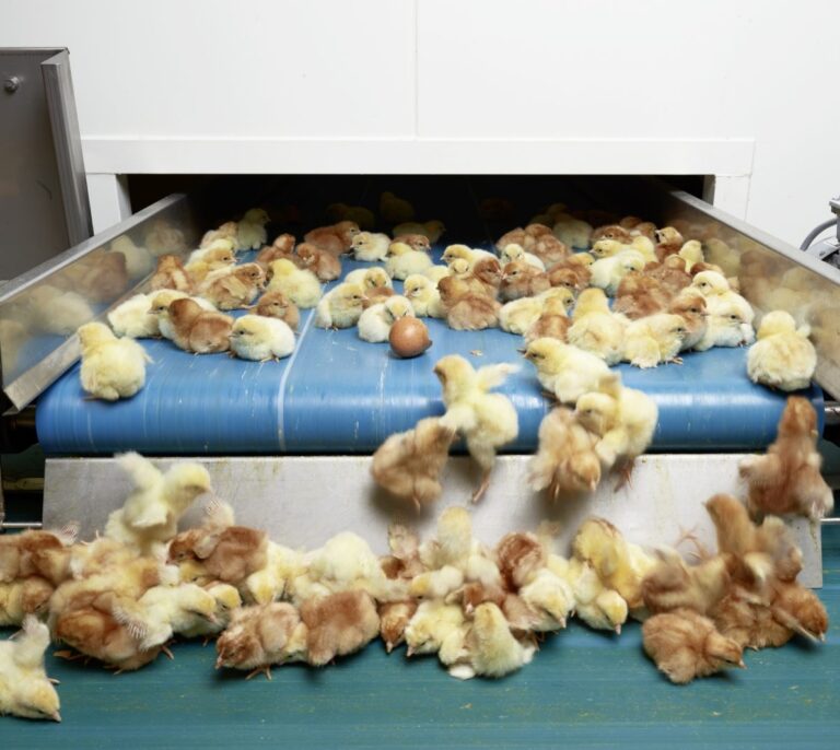 Getxophoto: cuarto y mitad de globalización