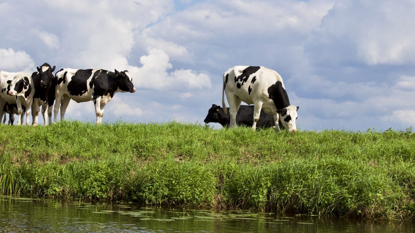 Rusia es el tercer mercado para el gigante agroalimentario francés.
