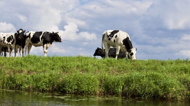danone-veto-ruso-siberia Rusia es el tercer mercado para el gigante agroalimentario francés.