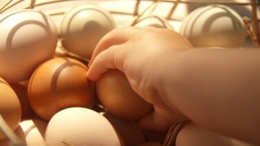 Consumo retira en Cataluña 50 kilos de huevos contaminados con fipronil