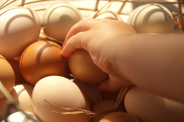 Huevos en una cesta, en una imagen de archivo.