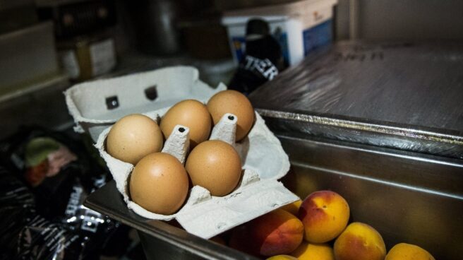 Inmovilizadas 20.000 unidades de huevo líquido contaminado con fipronil en Vizcaya