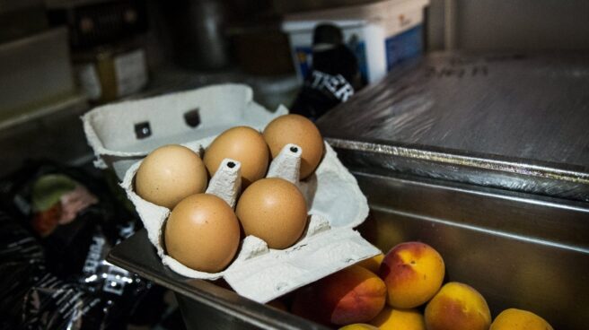 huevos Una partida de huevos.