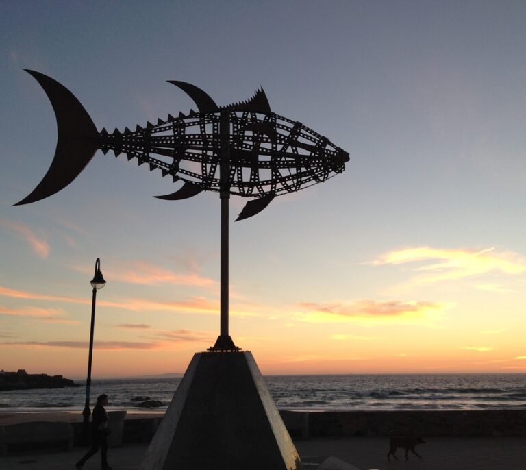 Un verano en Tarifa, de El Melli a la playa de los Lances