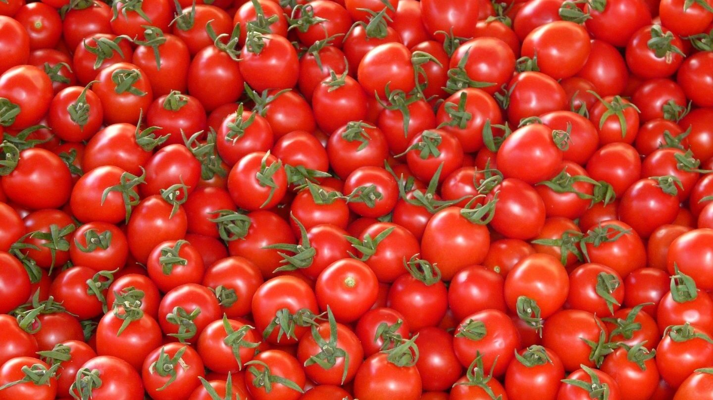 Beneficios de comer tomate contra el cáncer