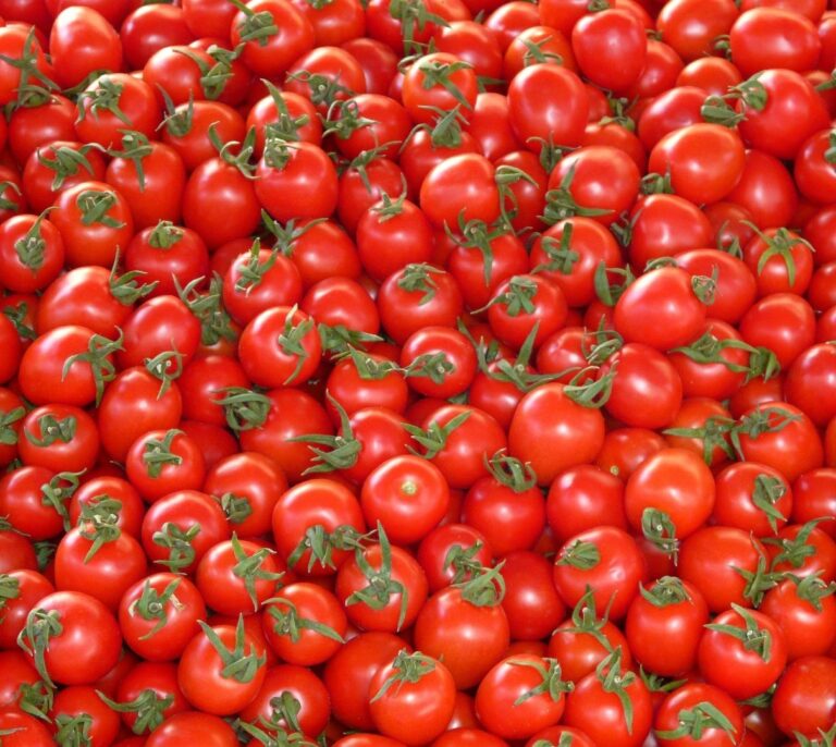Descubren que un nuevo gen potencia el sabor del tomate