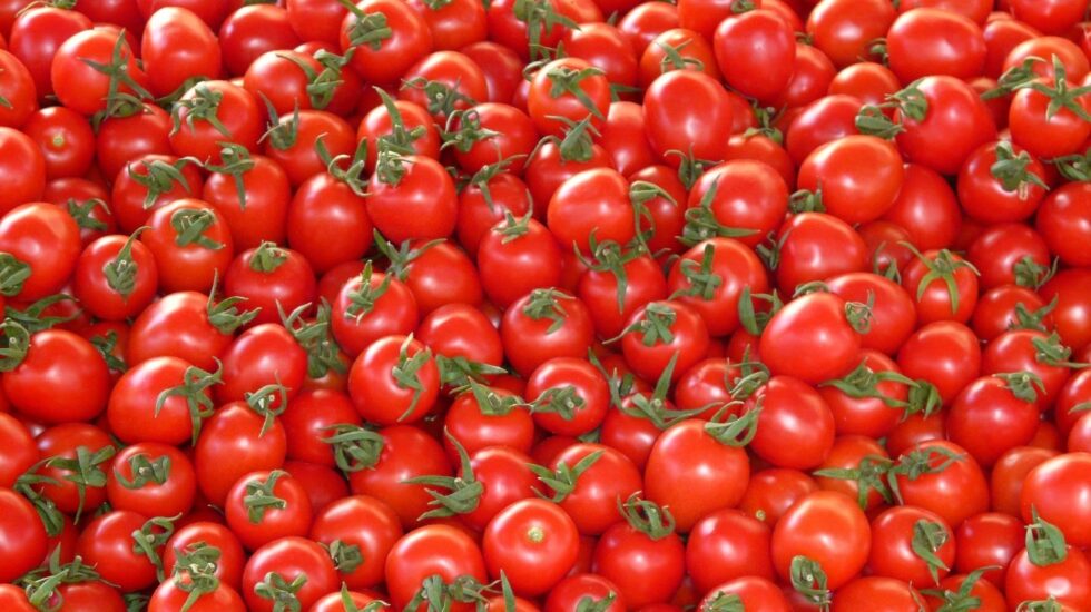 El tomate es rico en vitamina C