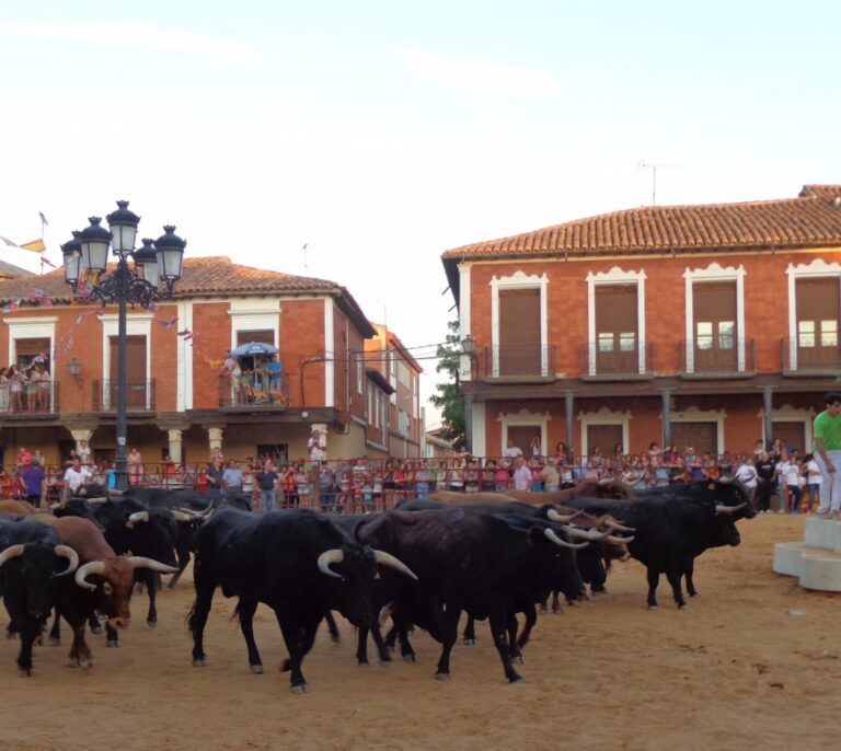 España de fiesta: viva San Roque