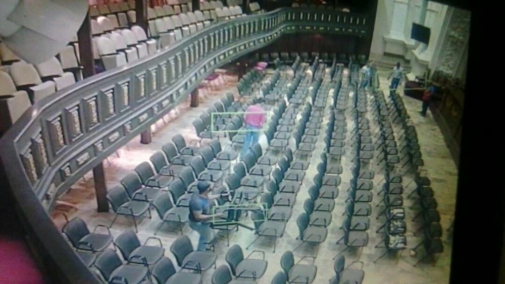 Tres activistas, en el interior del Palacio Federal Legislativo.