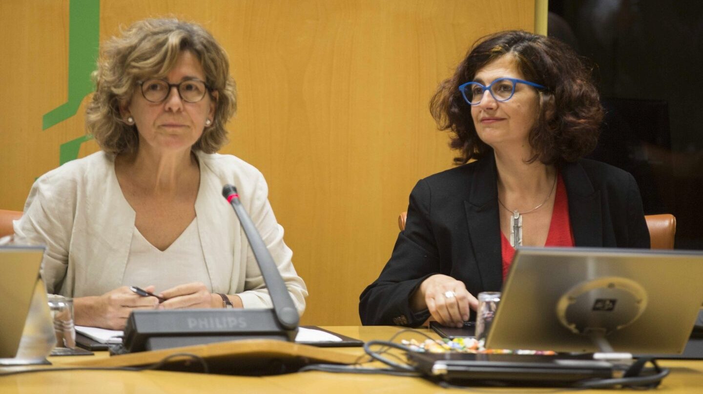 Rosa Lluch, la hija del ex ministro socialista asesinado por ETA, Ernest Lluch, durante su comparecencia en el Parlamento Vasco.