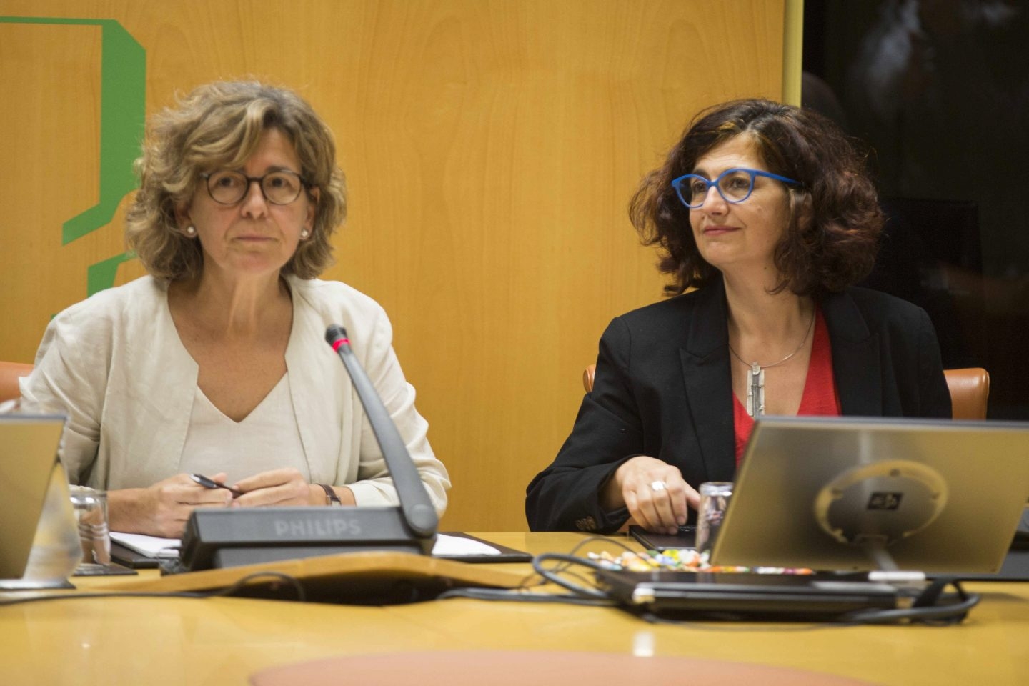 Rosa Lluch, la hija del ex ministro socialista asesinado por ETA, Ernest Lluch, durante su comparecencia en el Parlamento Vasco.