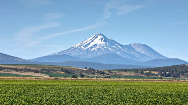 Pai, dueño de Cortefiel, y otros dos fondos pujan por el gigante español de las fresas