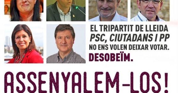 Concejales de PSC, C's y PP de Lleida denuncian ante los Mossos un cartel de Arran