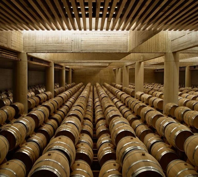 Crean un vino que no da dolor de cabeza