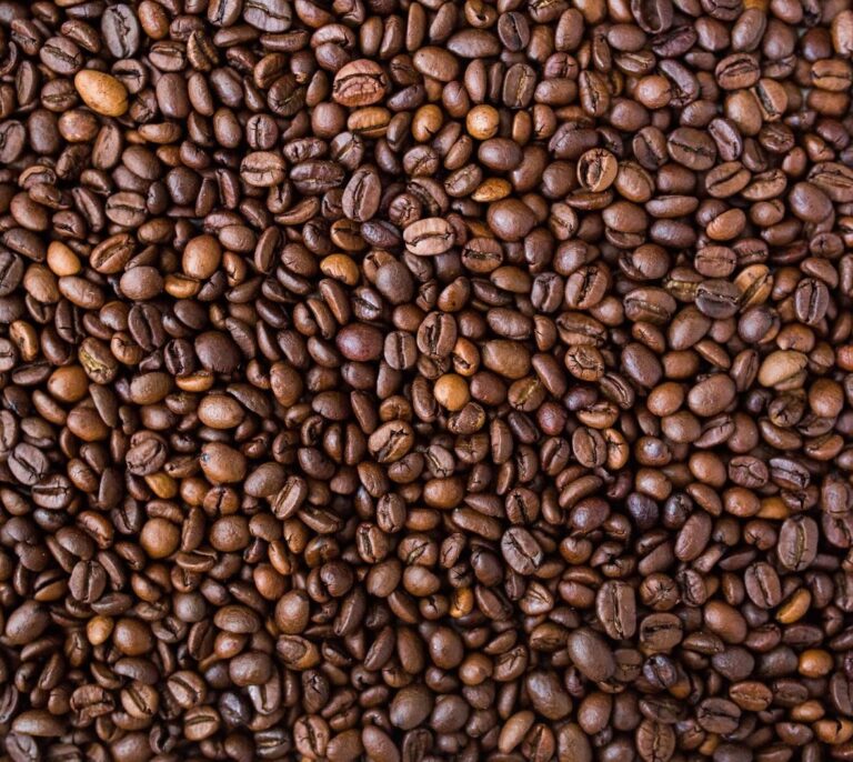 El cambio climático reduciría la producción de café un 88% en América Latina