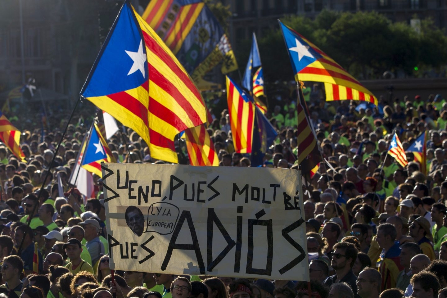 Imagen de la Diada 2017.